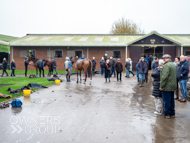 AK071124-94 - Alan King Stable Visit